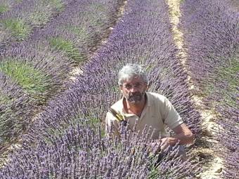 Conferenza su "La coltivazione e l'uso della lavanda"